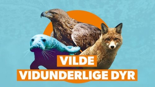 Imagen 2 del estreno de Vilde vidunderlige dyr