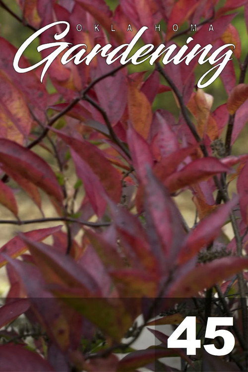 Oklahoma Gardening - Season 45 Poster Blur