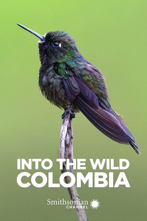 Poster Image for Into the Wild: Colombia
