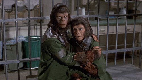 Image du film