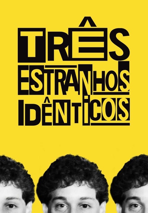 Pôster de Três Estranhos Idênticos