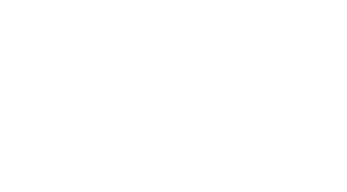 Elvis Presley: The Searcher