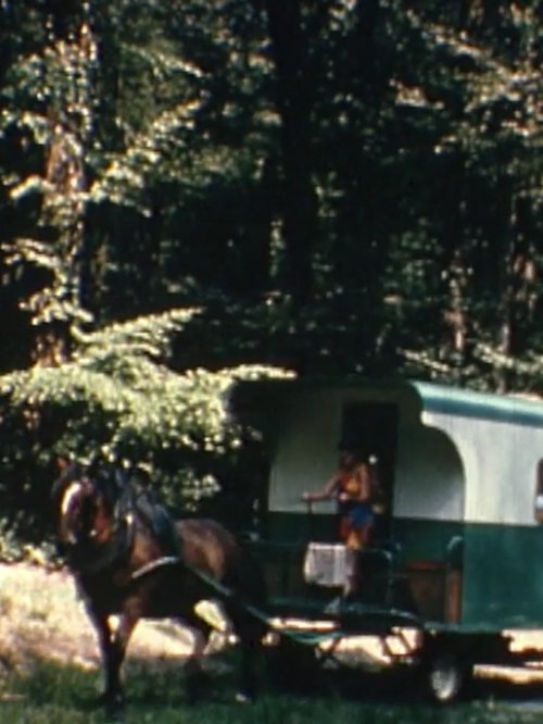Nomades d'aujourd'hui (1980) poster