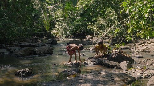 O Território