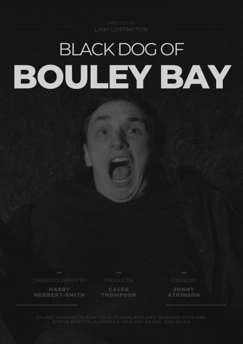Black Dog of Bouley Bay (2022)