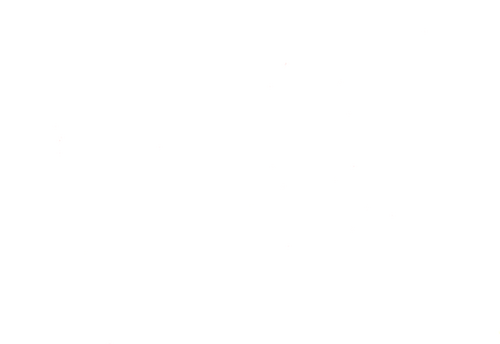 The Dark Horse