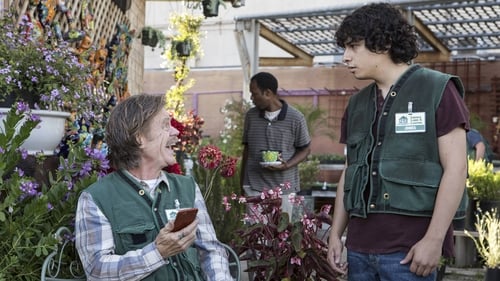 Shameless (US): 8×3