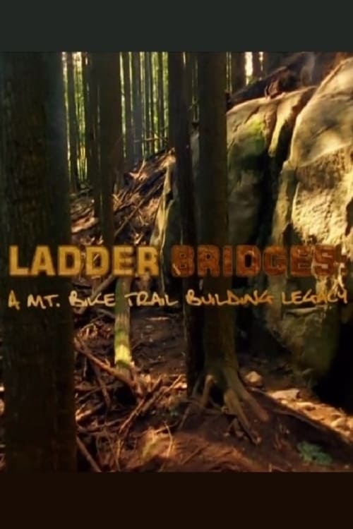 Poster Ladder Bridges 2006
