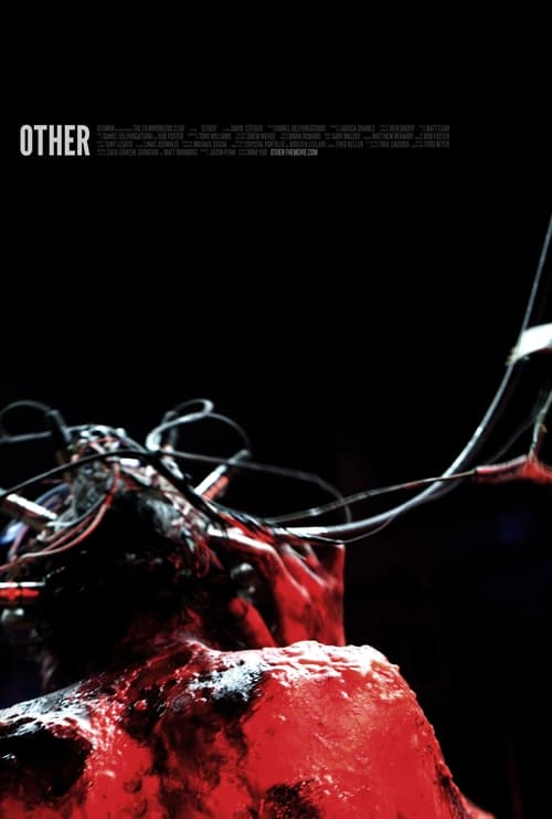 Other (2012) poster