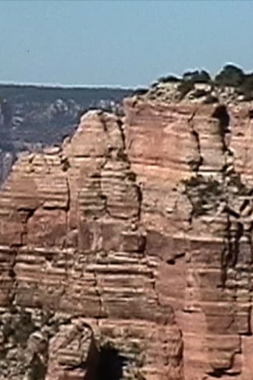 Permanent Obsolescence poster