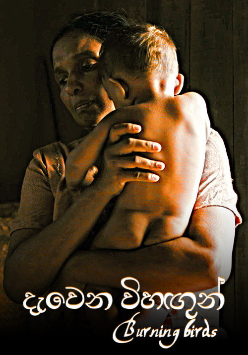 Burning Birds poster