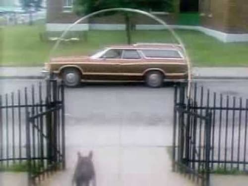 The Littlest Hobo, S01E09 - (1979)