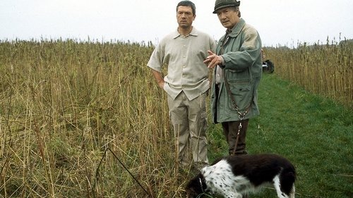 Image de l'épisode 11