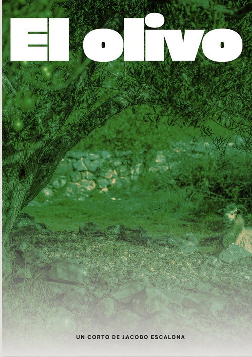 EL OLIVO
