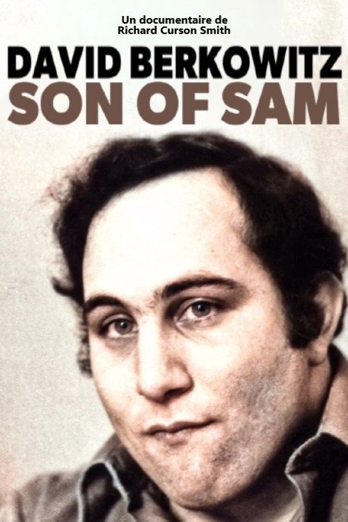 Son Of Sam: The Hunt For A Killer poster