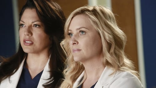 Grey’s Anatomy: 9×22