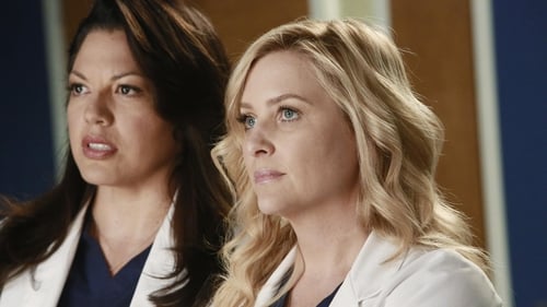 Grey’s Anatomy: 9×22