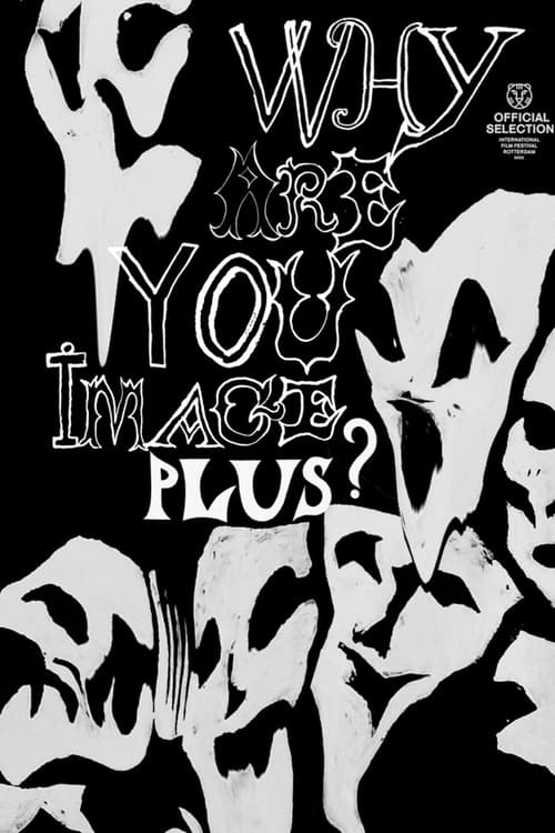 Why Are You Image Plus?