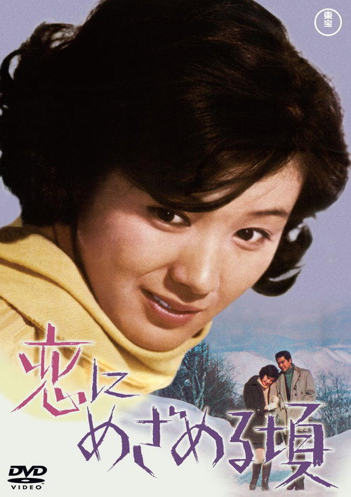 恋にめざめる頃 постер