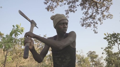 Makala (2017)