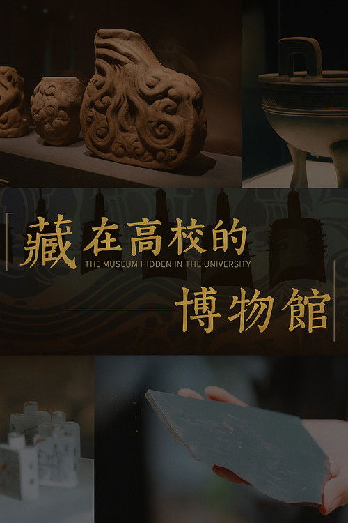 藏在高校的博物馆