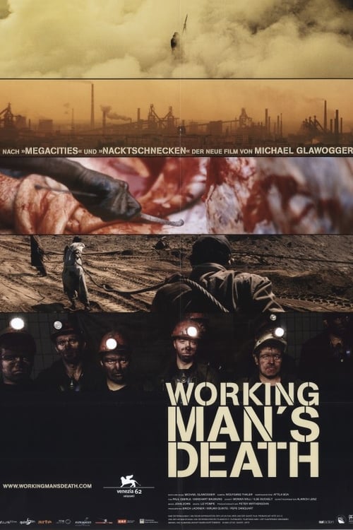 Workingman's Death poster