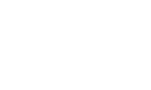 Nighthawks