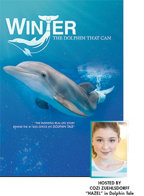 Winter, the Dolphin that Can 2016