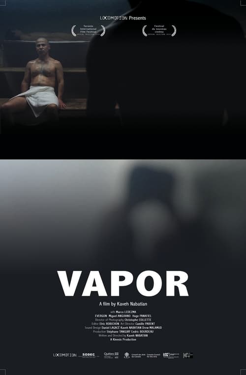 Vapor 2010