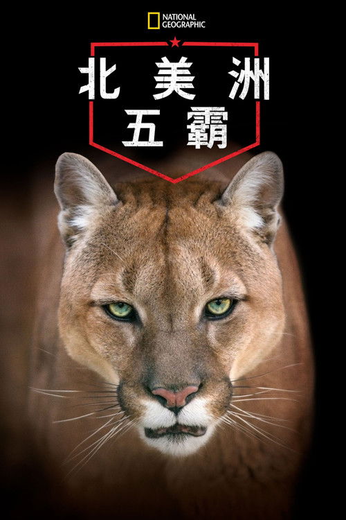 America's Greatest Animals poster