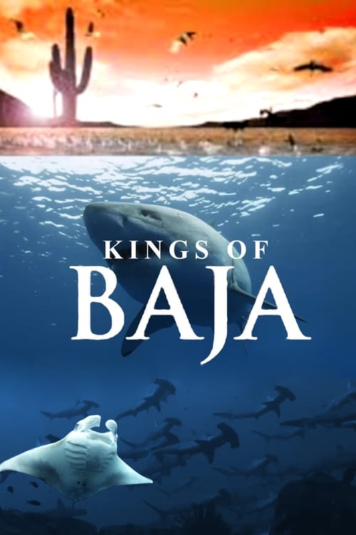 Kings of Baja poster
