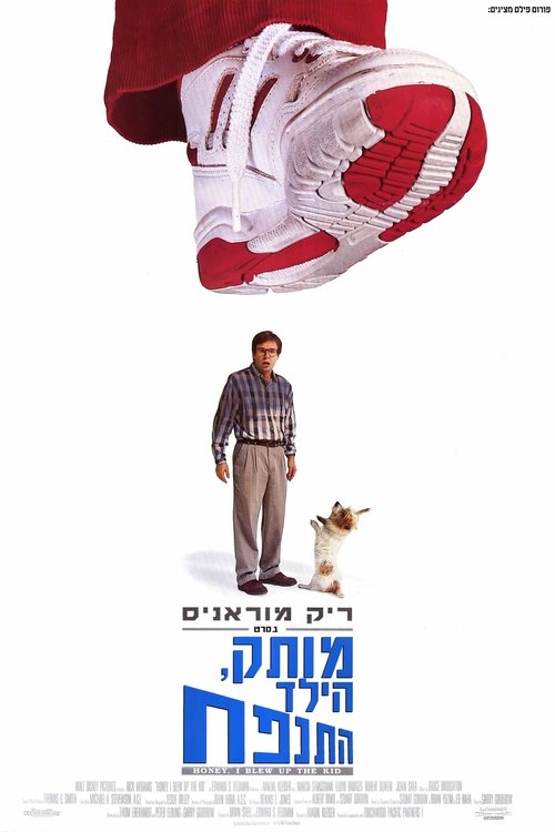 Posters
