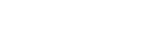 First We Take Brooklyn