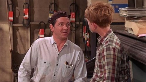 The Andy Griffith Show, S08E16 - (1967)