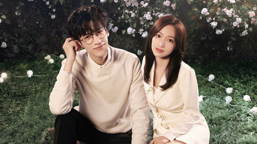 Lie to Love backdrop 3