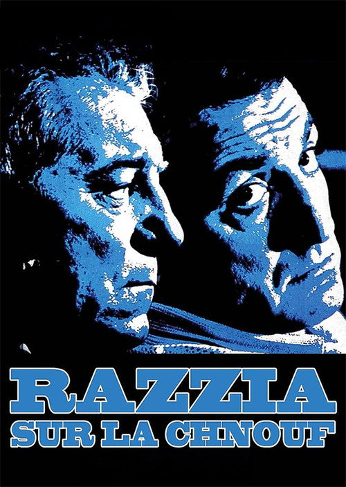 Razzia poster
