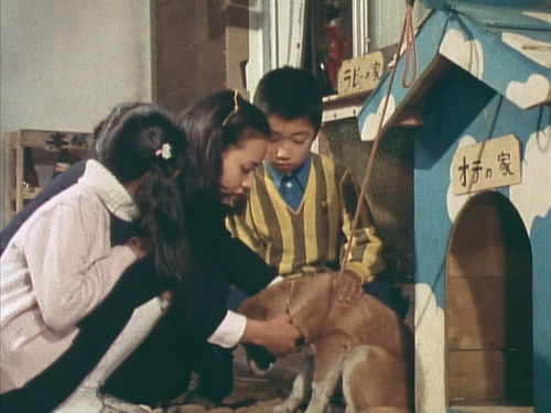 Image de l'épisode 7