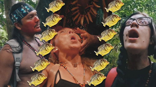 Episódio 9