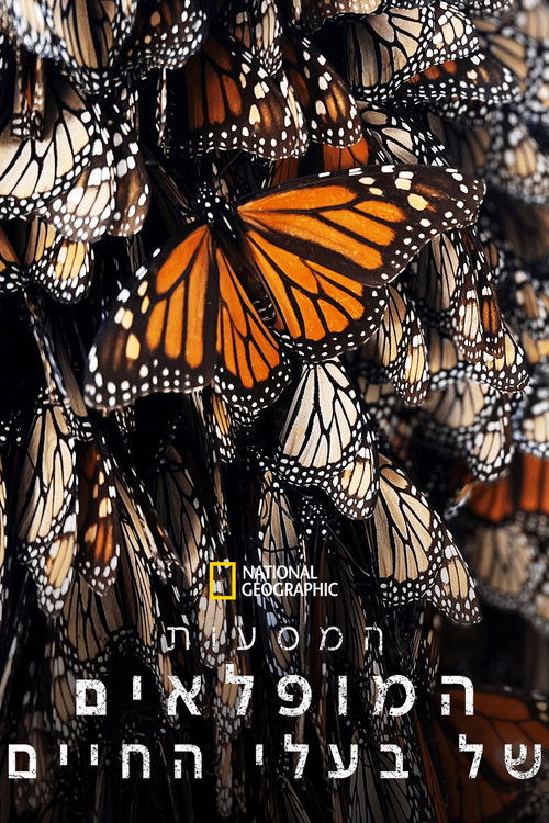 המסעות המופלאים של בעלי החיים