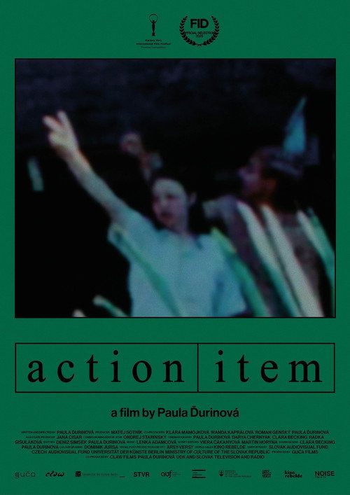 Action Item