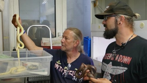 Image de l'épisode 161