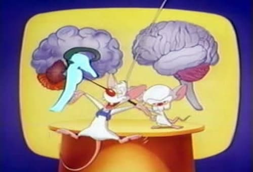 Poster della serie Pinky and the Brain