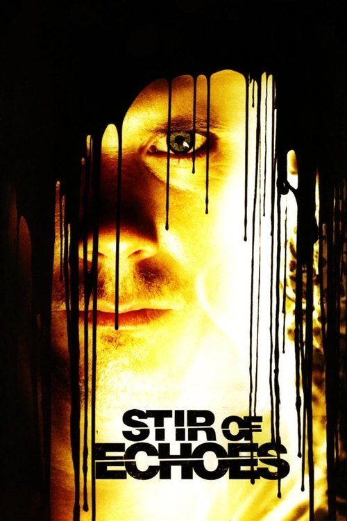 stir of echoes song stir of echoes song