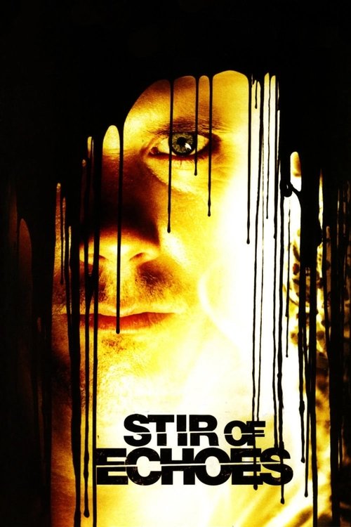 stir of echoes movie review