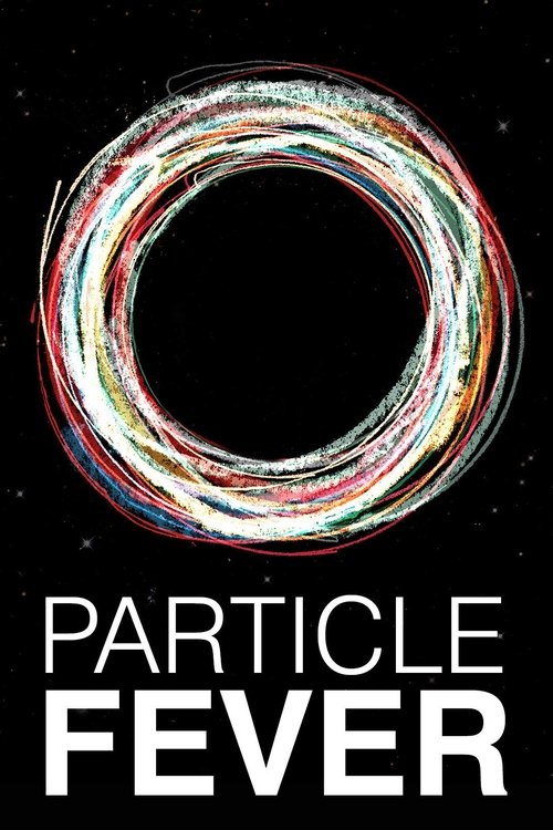 Particle Fever 2013