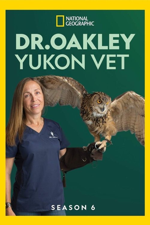 Where to stream Dr. Oakley, Yukon Vet Season 6