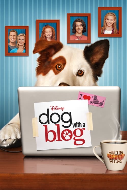 Similar Series Like Dog With A Blog