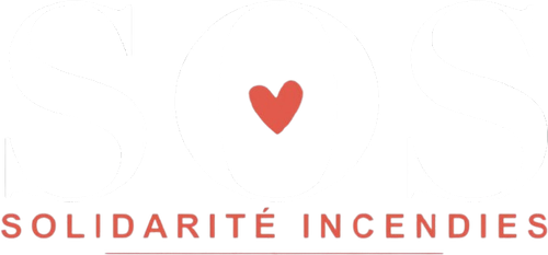 Solidarité Incendies - Le Grand Concert en direct