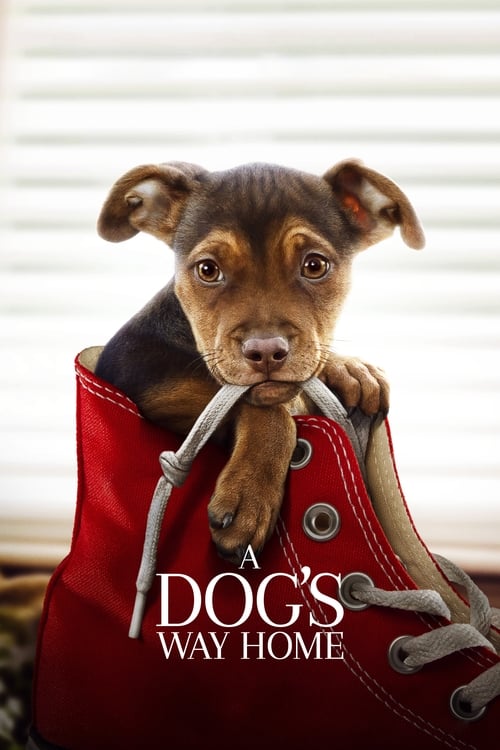 Movie A Dog's Way Home