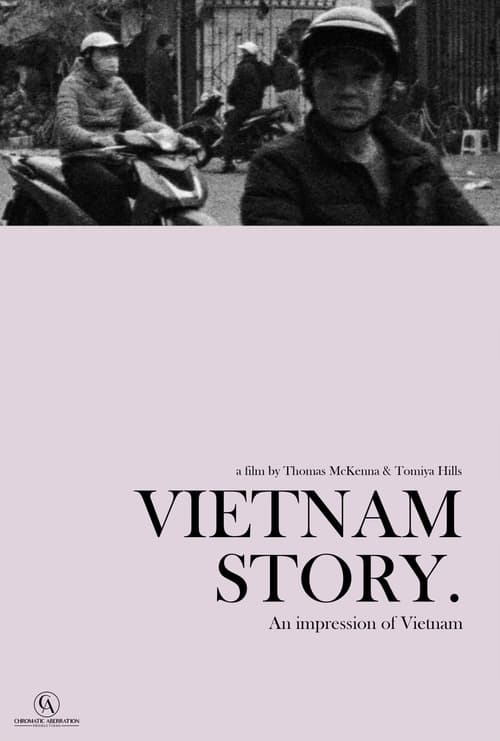 Poster Vietnam Story 